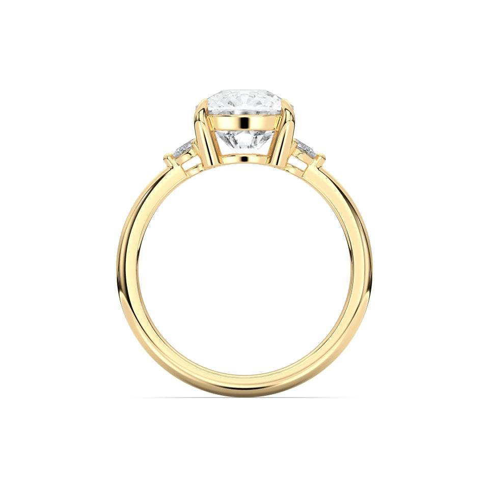 Double fancy ring