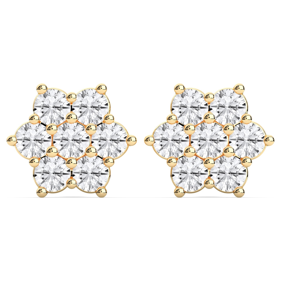 Fancy star earrings