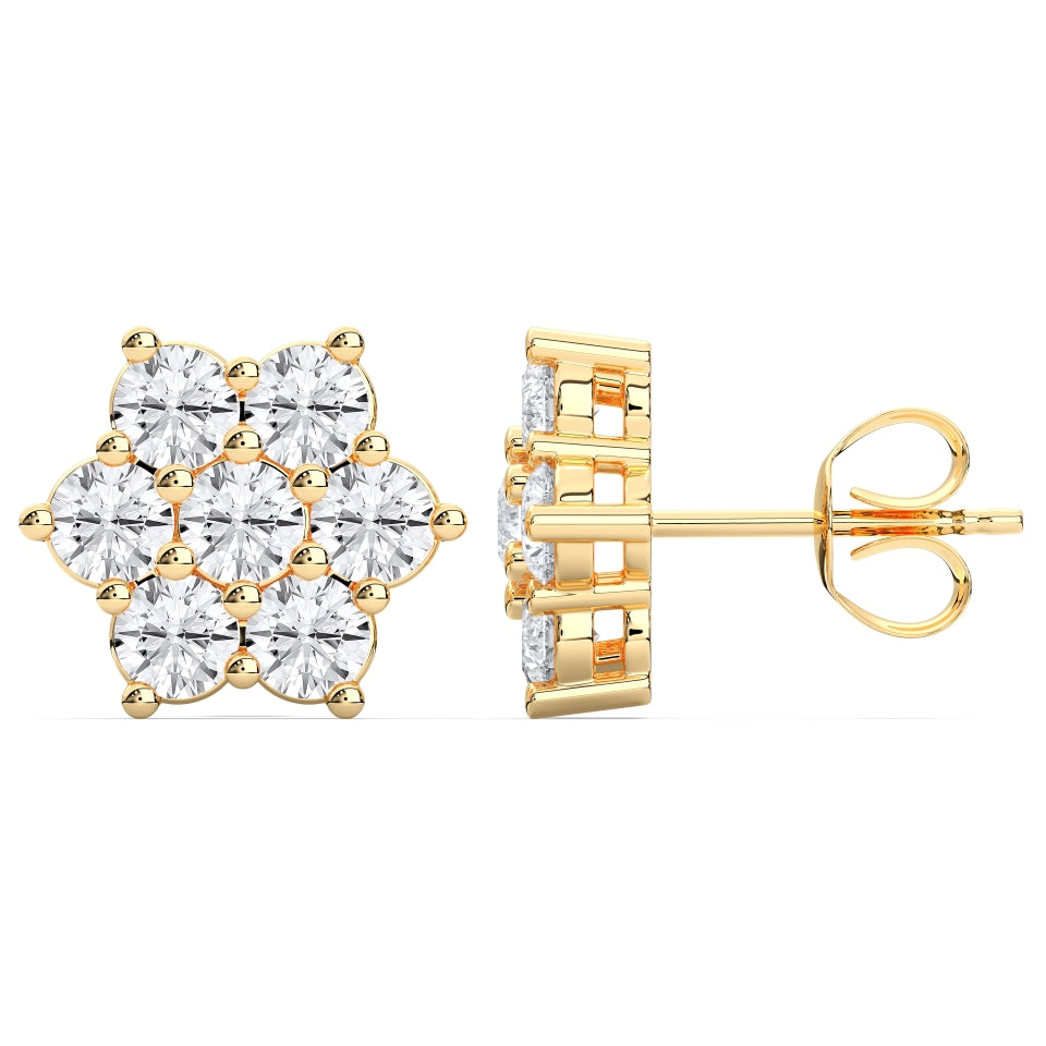 Fancy star earrings