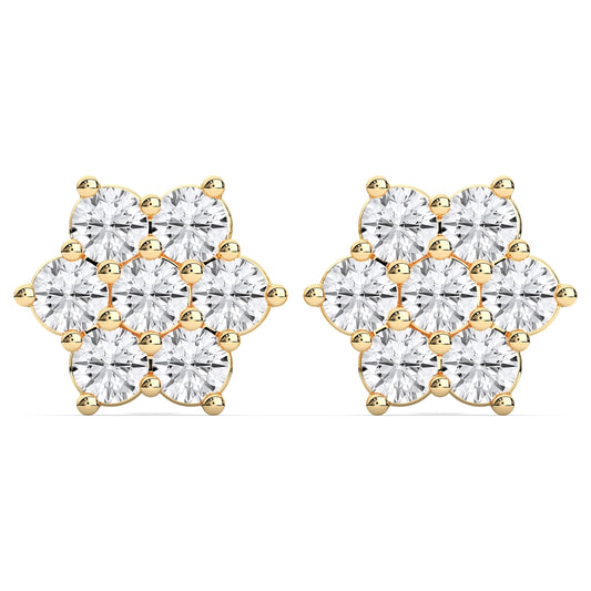 Fancy star earrings